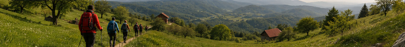 Baner članstvo