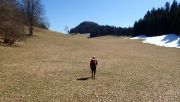 P3312774-Large